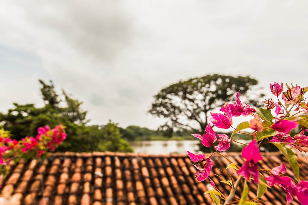 モンポス La Casa Amarilla Bed & Breakfast 部屋 写真