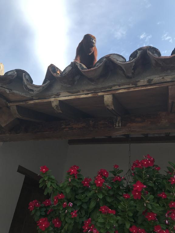 モンポス La Casa Amarilla Bed & Breakfast エクステリア 写真