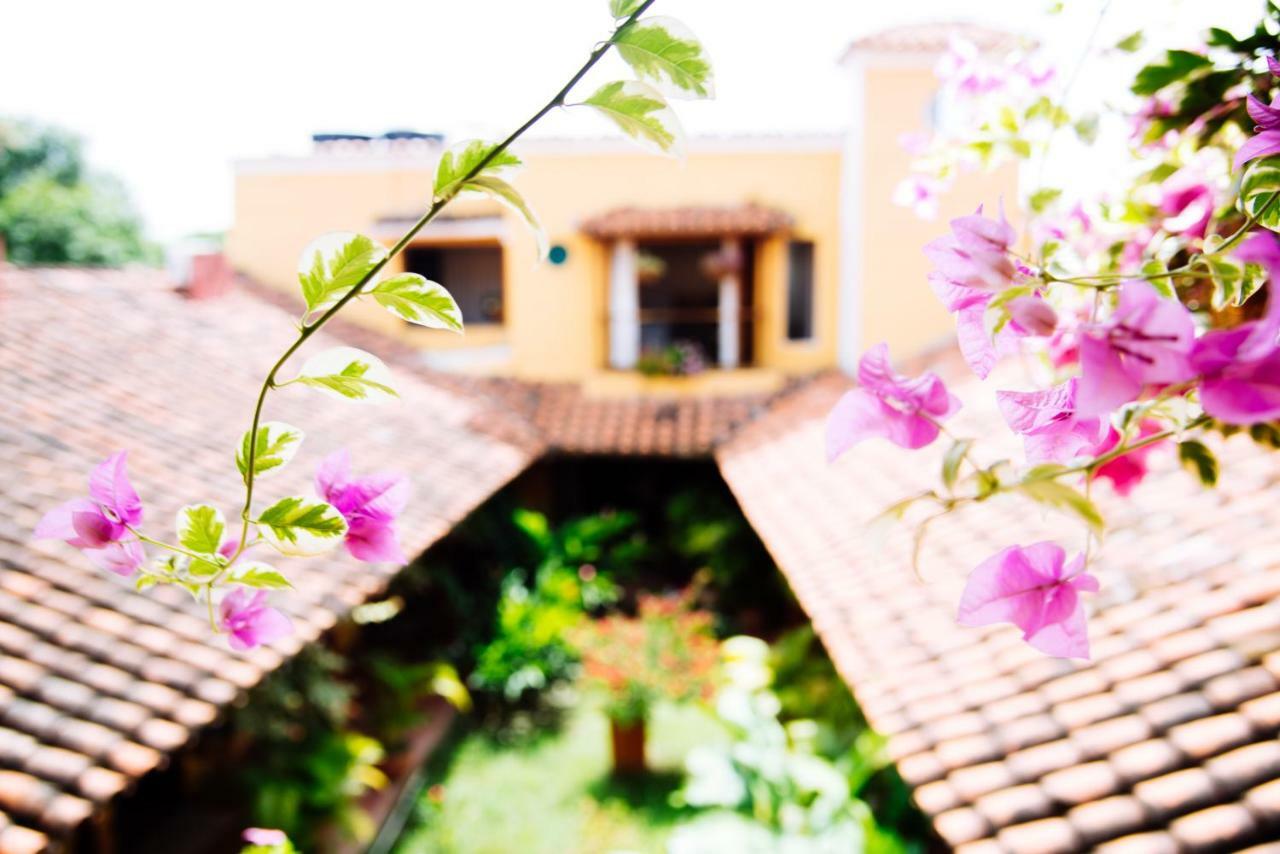 モンポス La Casa Amarilla Bed & Breakfast エクステリア 写真